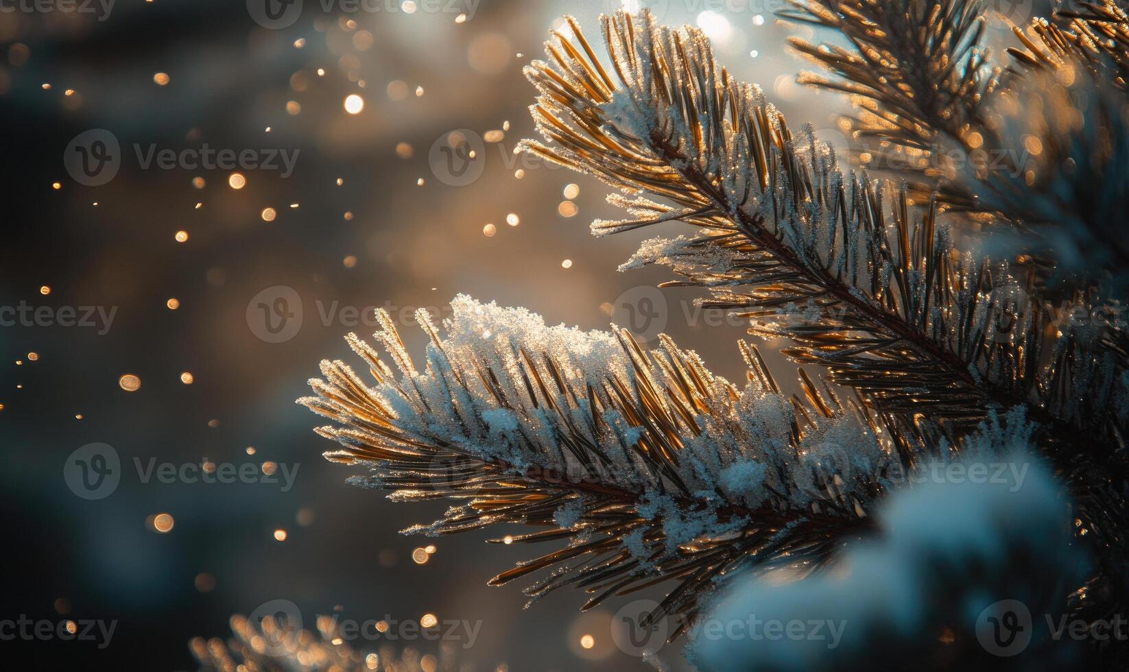 Frosted conifer tips, snow resting gently, cold breath photo