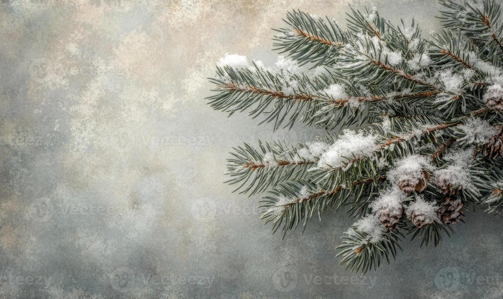 Frosted conifer tips, snow resting gently, cold breath photo