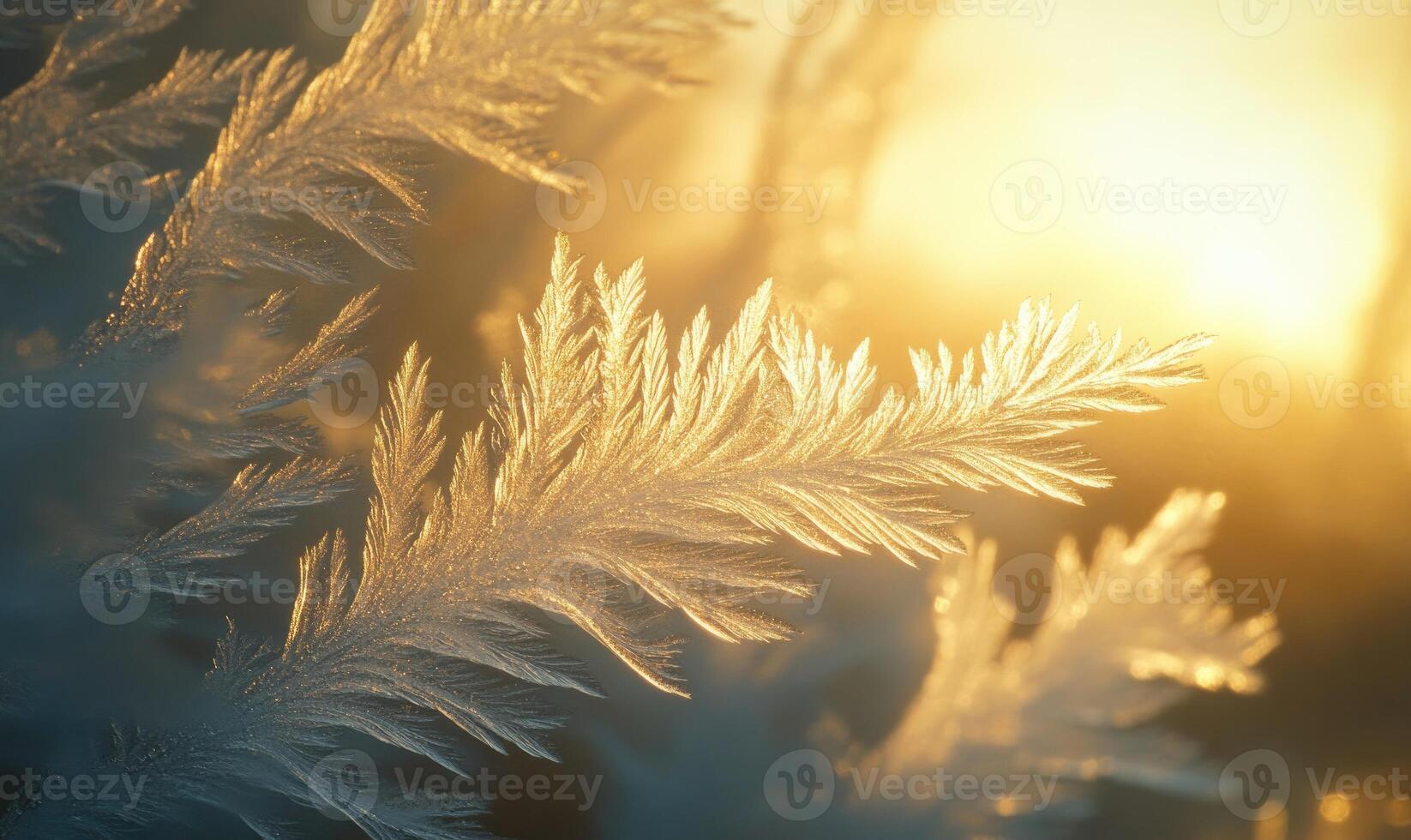 A close up of a leaf with frost on it photo