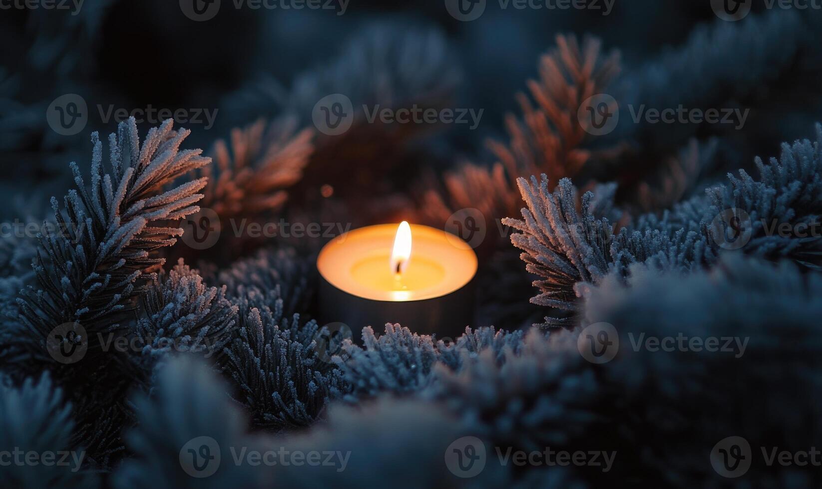 A candle is lit in a bush with snow on it photo