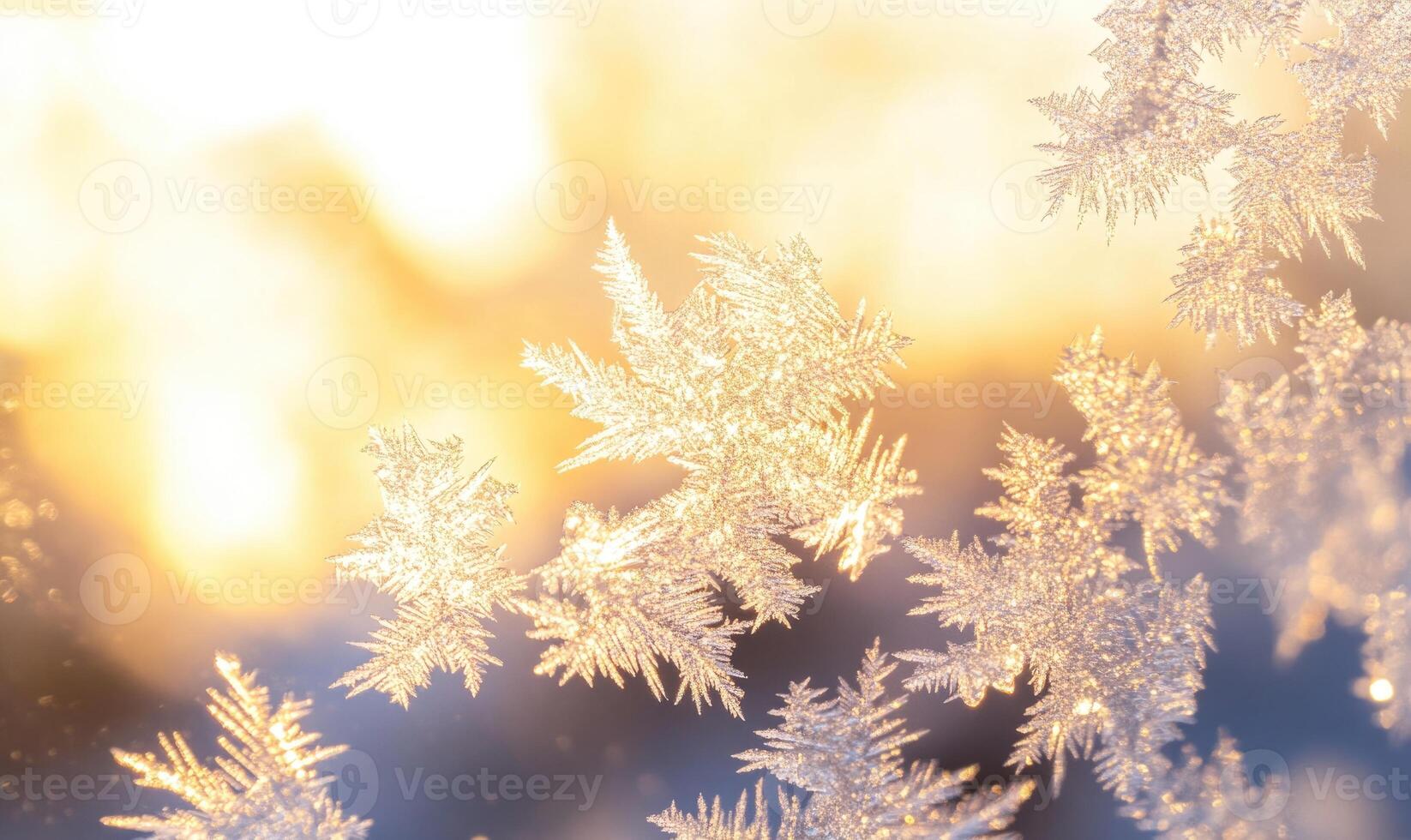 A close up of snowflakes with a warm, golden background photo