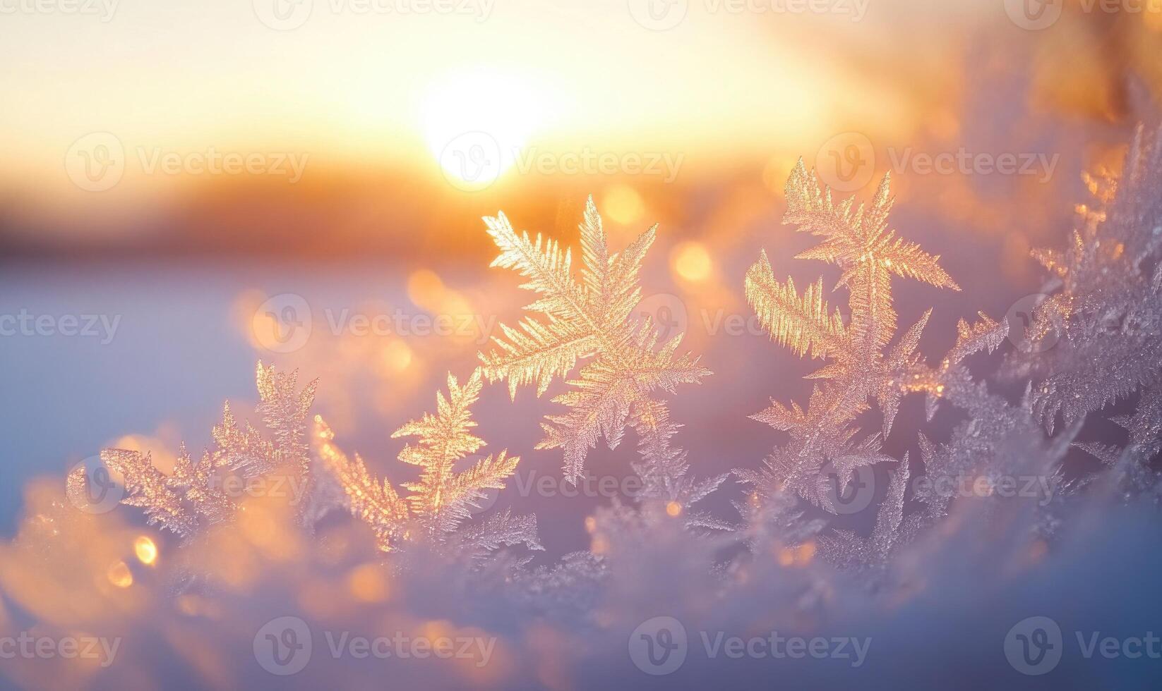 A close up of snowflakes with the sun in the background photo