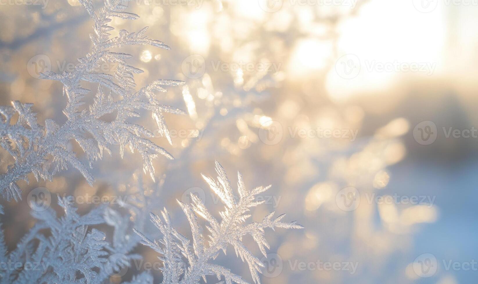A close up of a snow covered tree branch with frost on it photo