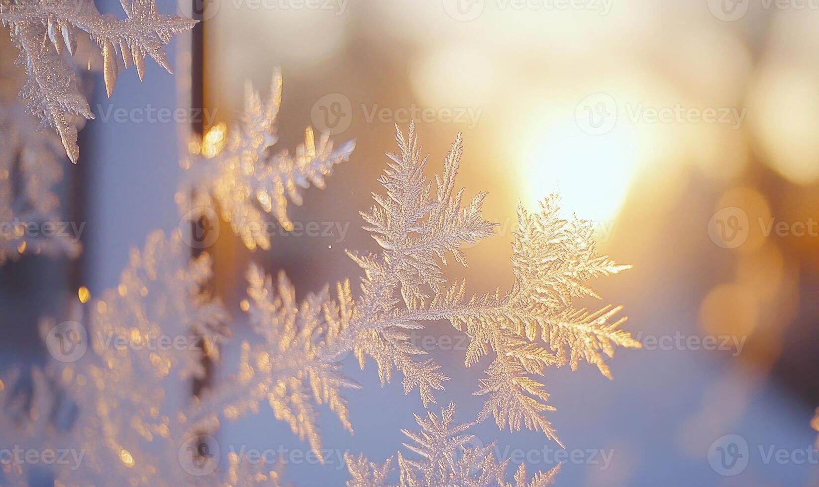 A snowflake with frost on it is shown in a window photo