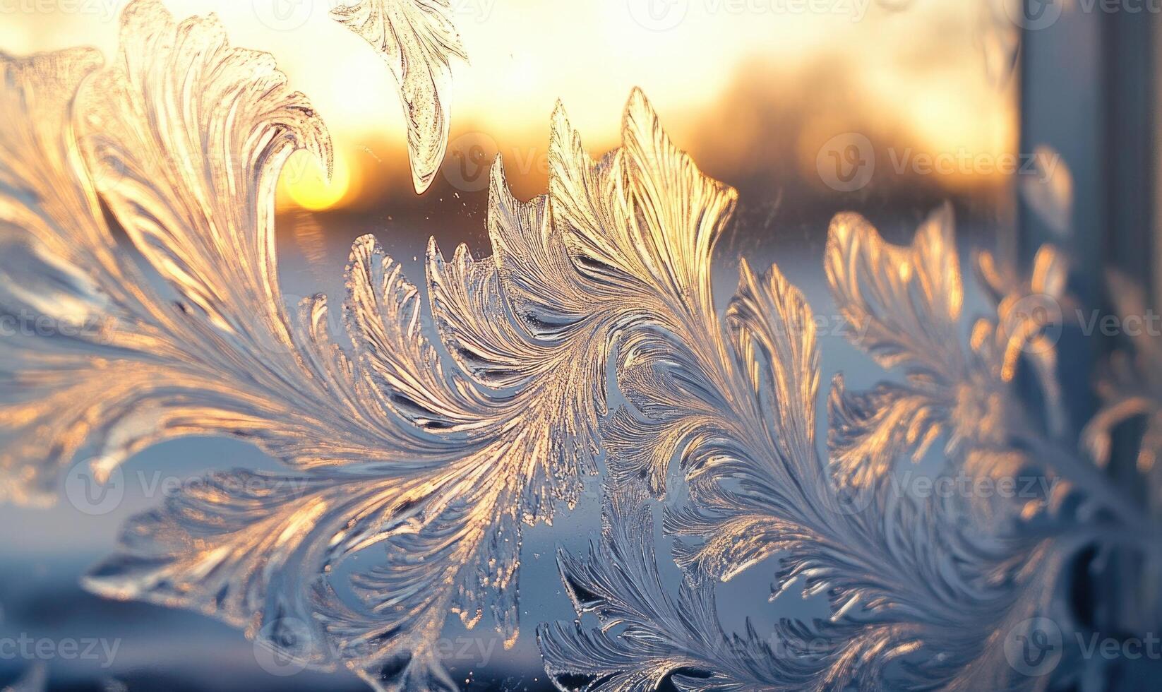 A frosty window with a leafy design on it photo