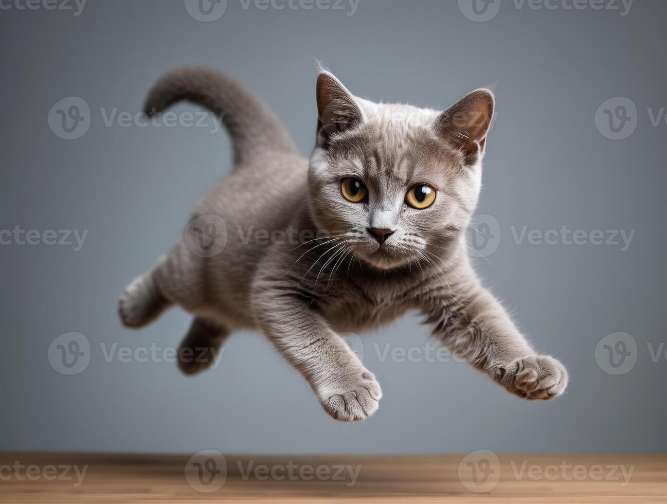A Gray Cat Leaping Through The Air photo