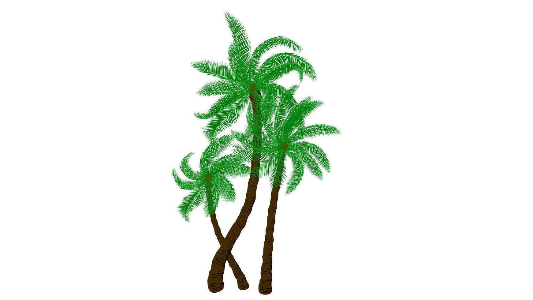 A group of palm tree with isolated white background vector