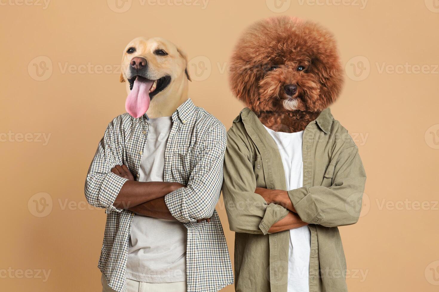 Two dogs with amusingly edited human bodies pose confidently with their arms crossed. The setting features a neutral background, enhancing their playful expressions and unique characterizations. photo