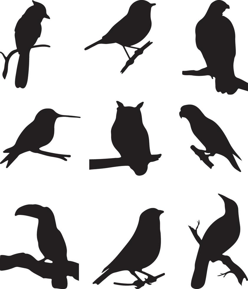 Birds on branch silhouette set vector
