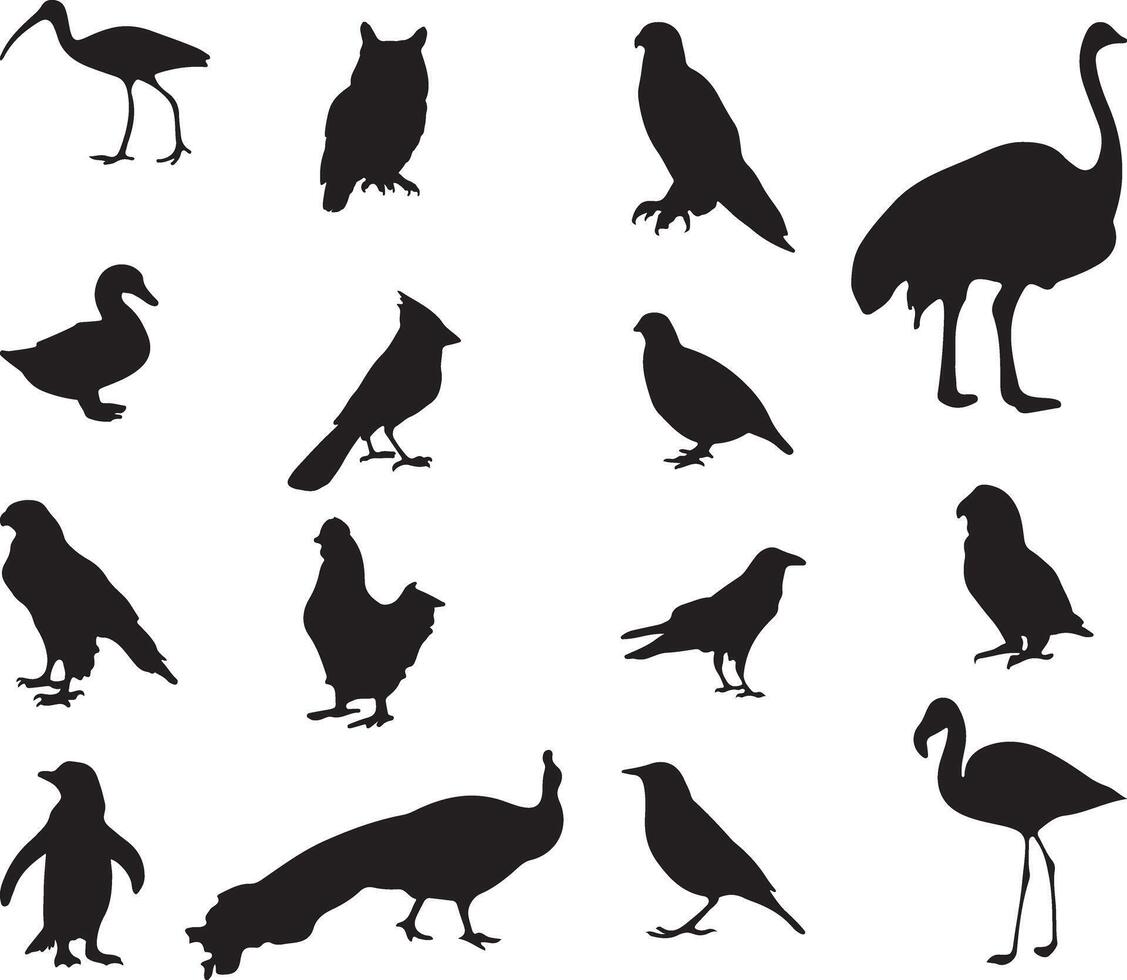 Bird silhouettes big collection designs vector