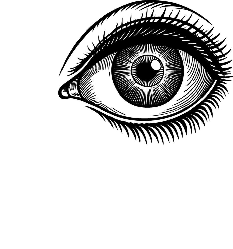 Old World Eye Sketch vector