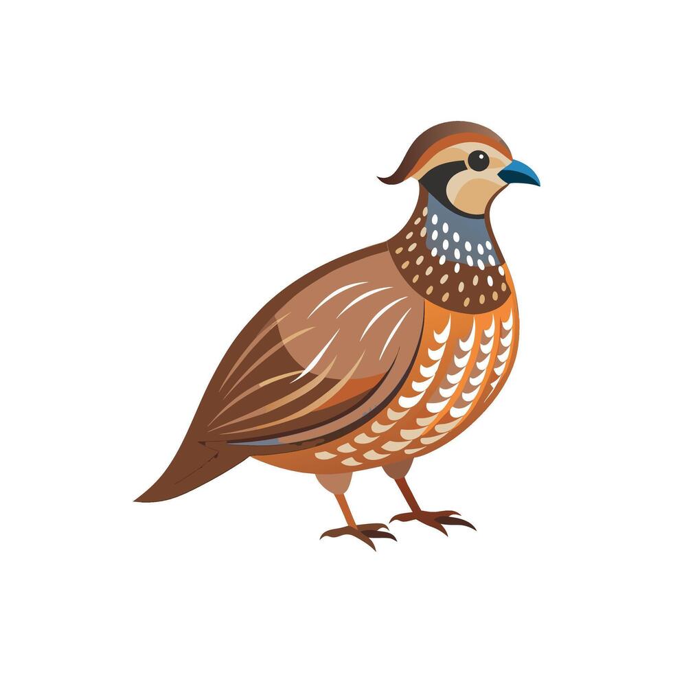Nestled on the Farm The Quail Story vector