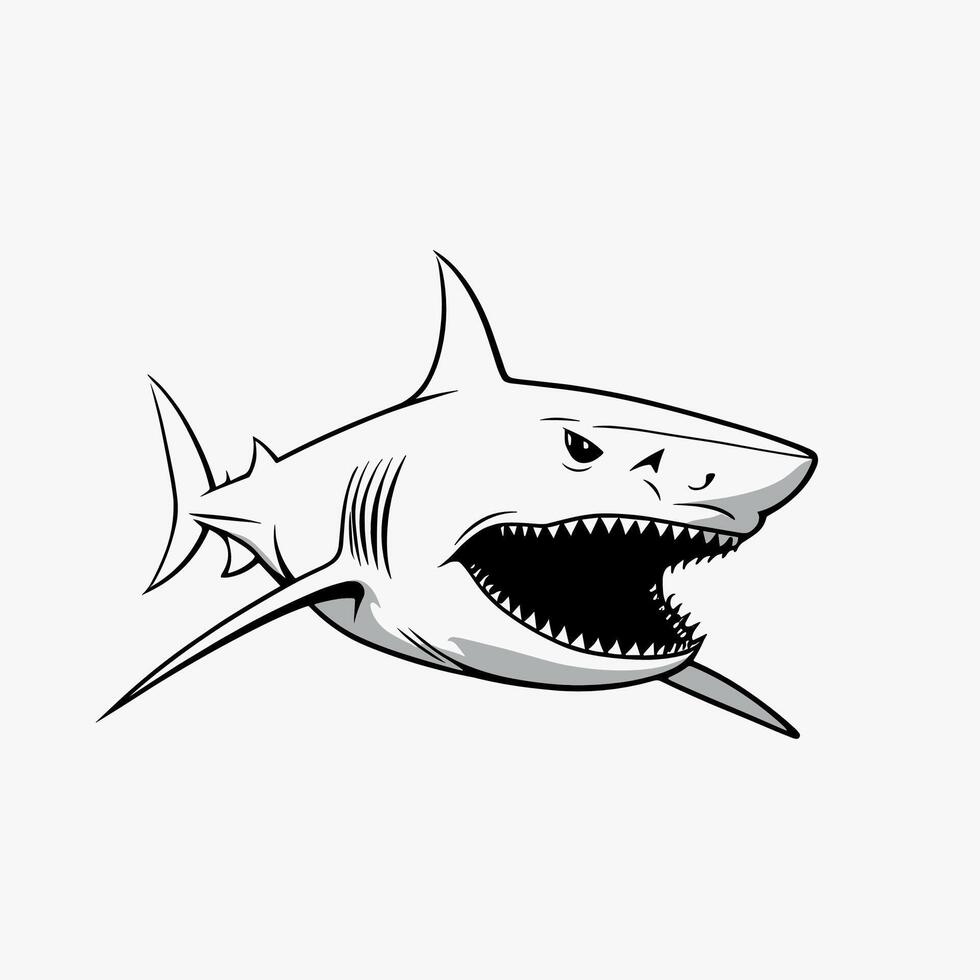 Aggressive Shark Illustration in Bold Line Art Style vector
