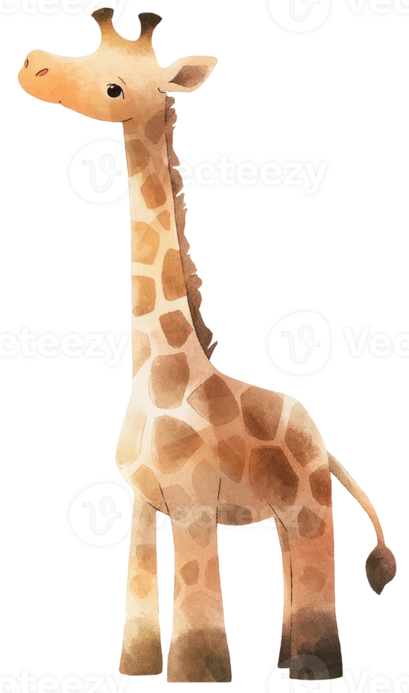 Watercolor giraffe animal isolated on transparent background, baby illustration png