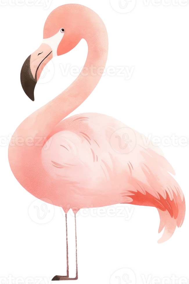 Watercolor flamingo animal isolated on transparent background, baby illustration png