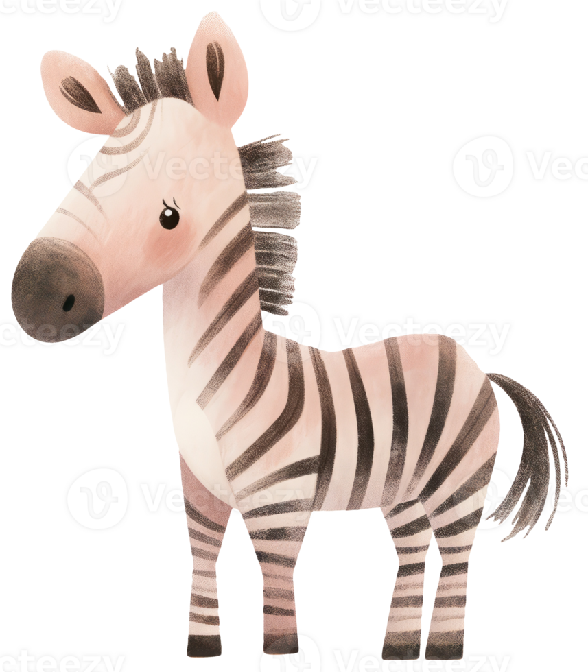 Watercolor zebra animal isolated on transparent background, baby illustration png