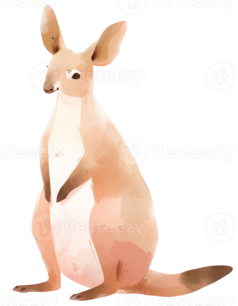 Watercolor kangaroo animal isolated on transparent background, baby illustration png