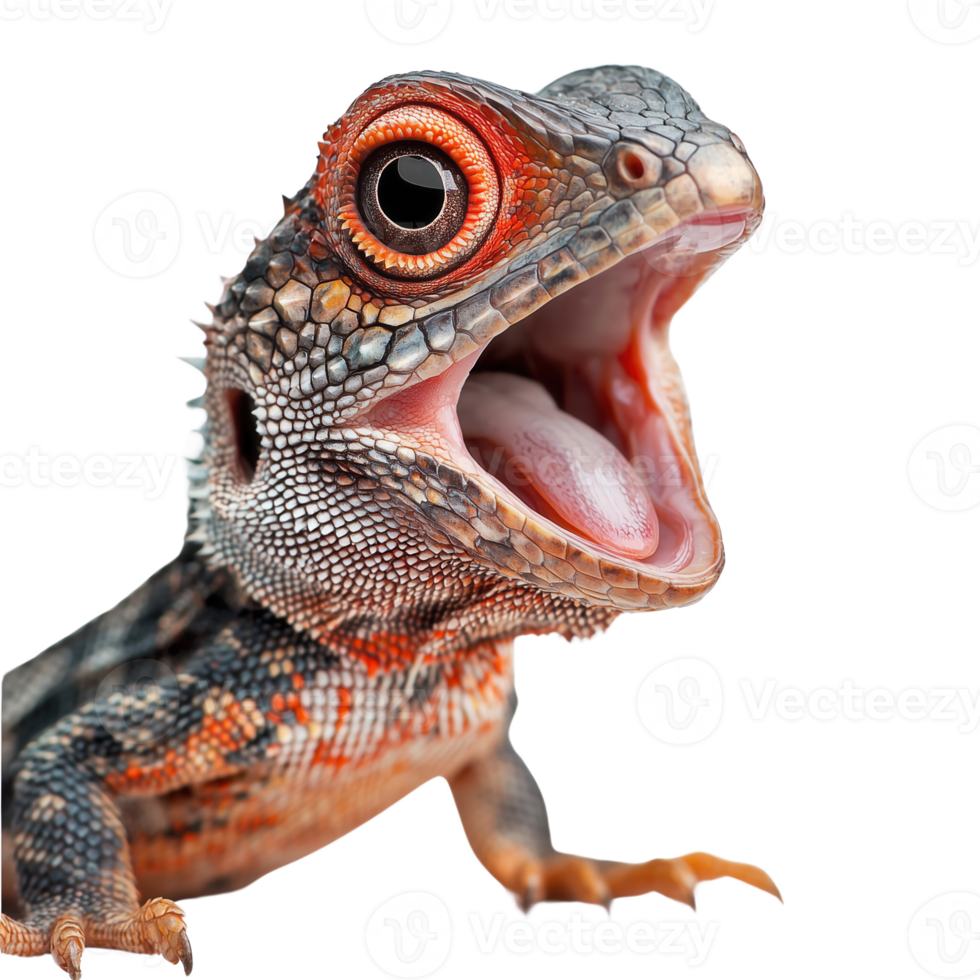 A vibrant and colorful lizard with an open mouth, showcasing intricate details of its scales. This striking reptile captures attention with its vivid colors and unique features. png