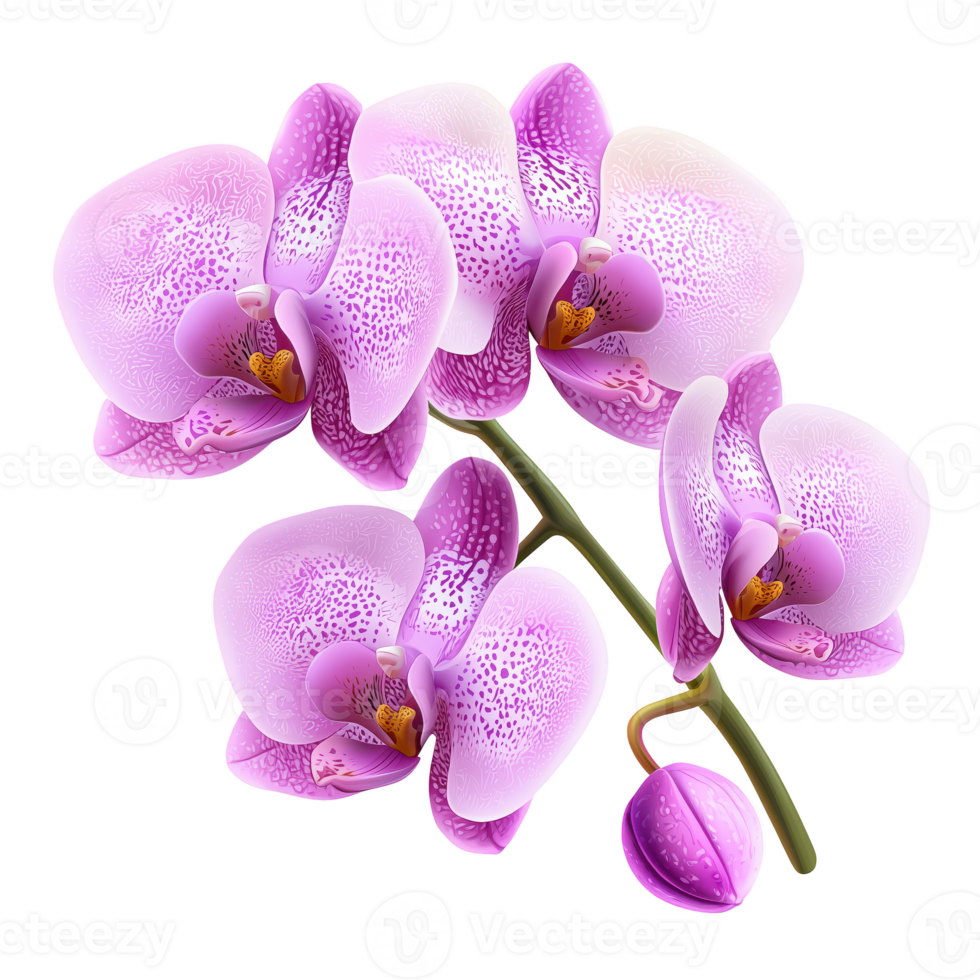 A beautiful arrangement of pink orchids, showcasing delicate petals and vibrant colors, perfect for floral decoration and design. png