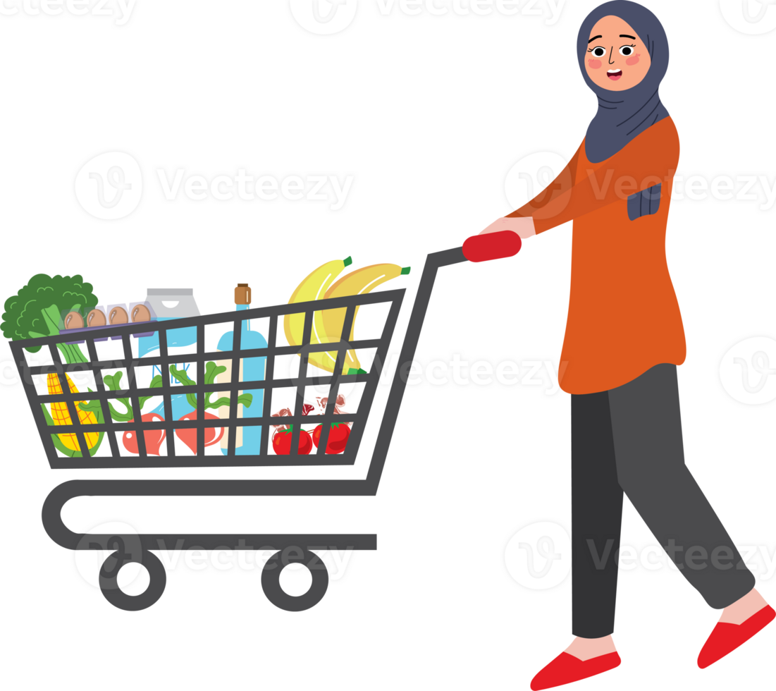 A woman pushing a shopping cart with groceries png