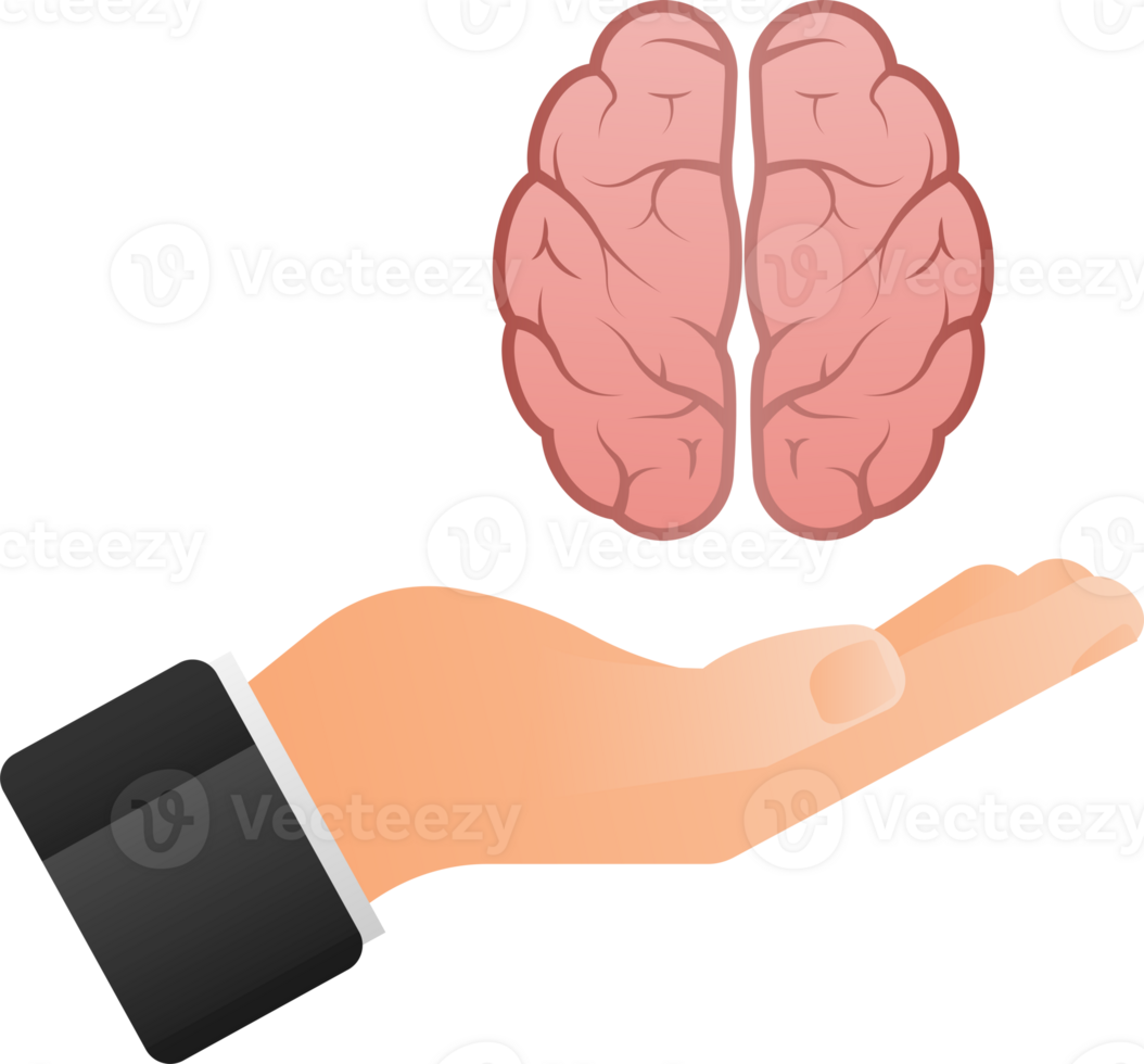 Human brain medical. Internal organ. Neural network. Brainstorming, idea. png