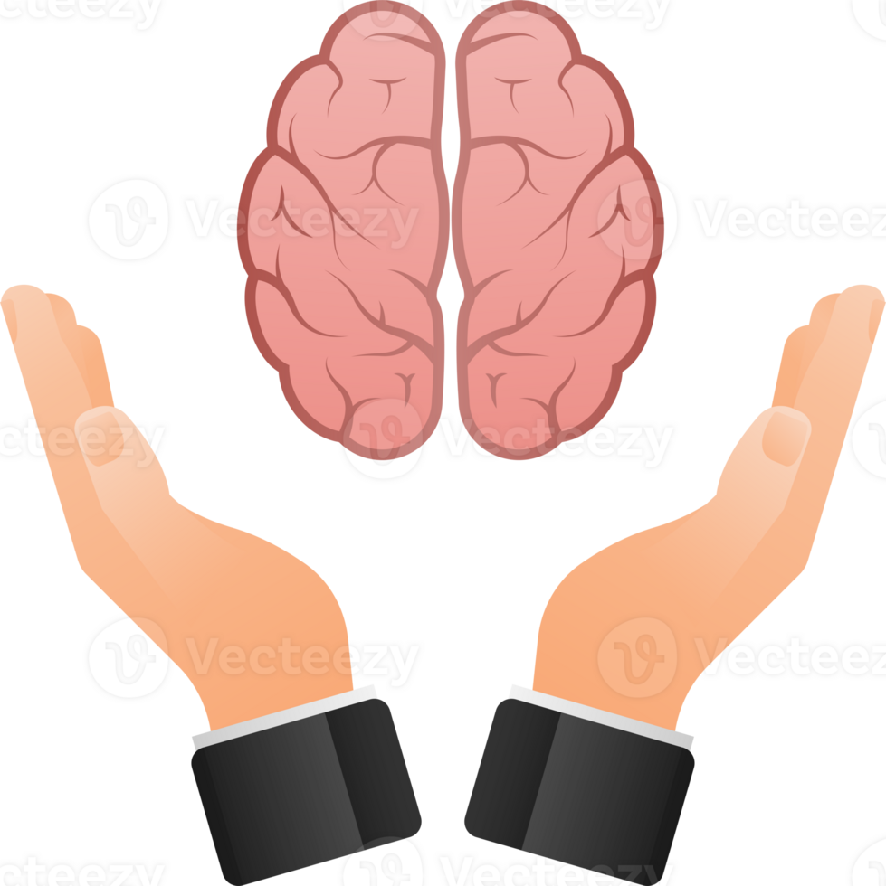 Human brain medical. Internal organ. Neural network. Brainstorming, idea. png