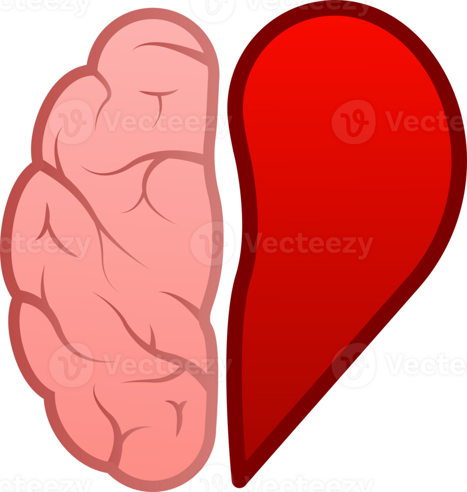 Human brain medical. Internal organ. Neural network. Brainstorming, idea. png