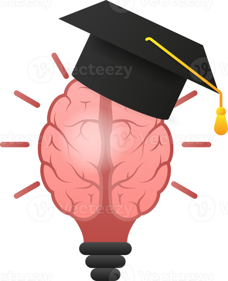 Human brain medical. Internal organ. Neural network. Brainstorming, idea. png