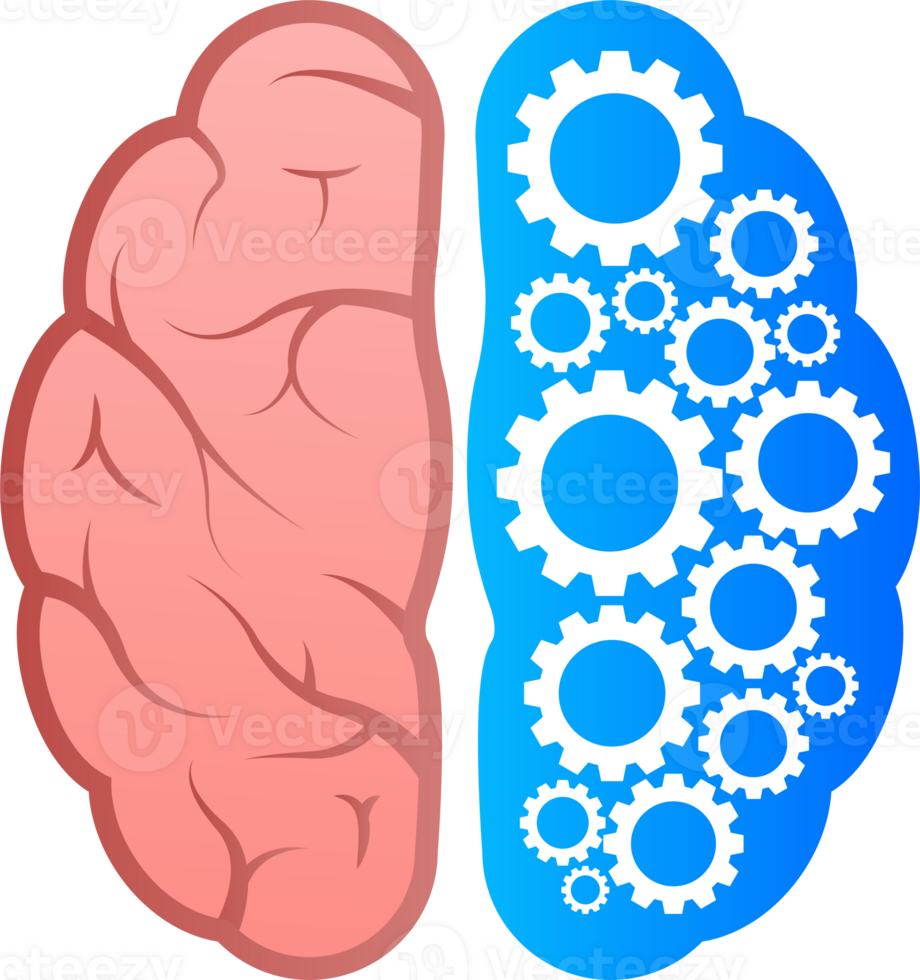 Human brain medical. Internal organ. Neural network. Brainstorming, idea. png