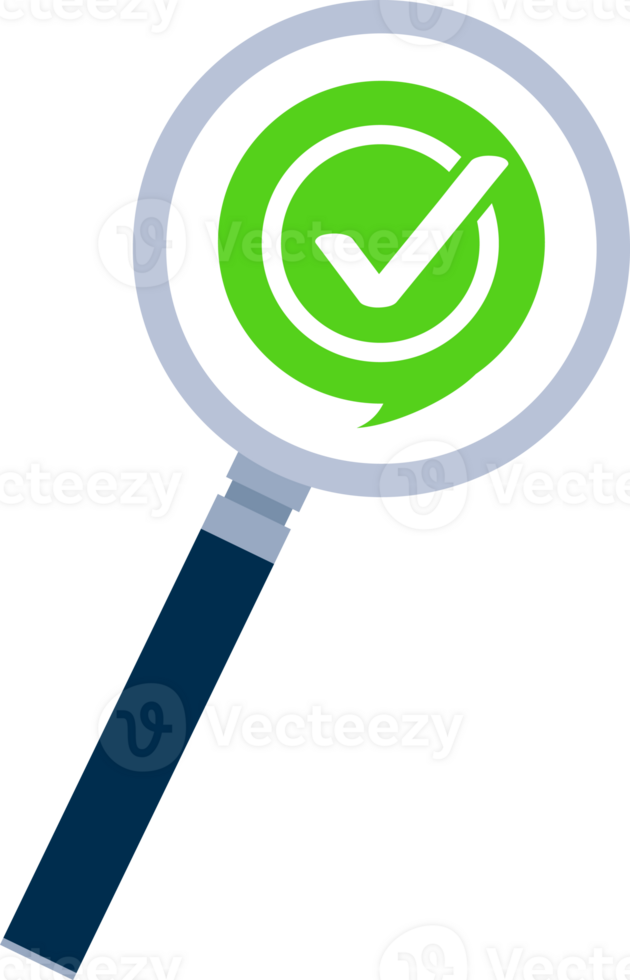 Yes and No check marks icon on magnifying glass. png