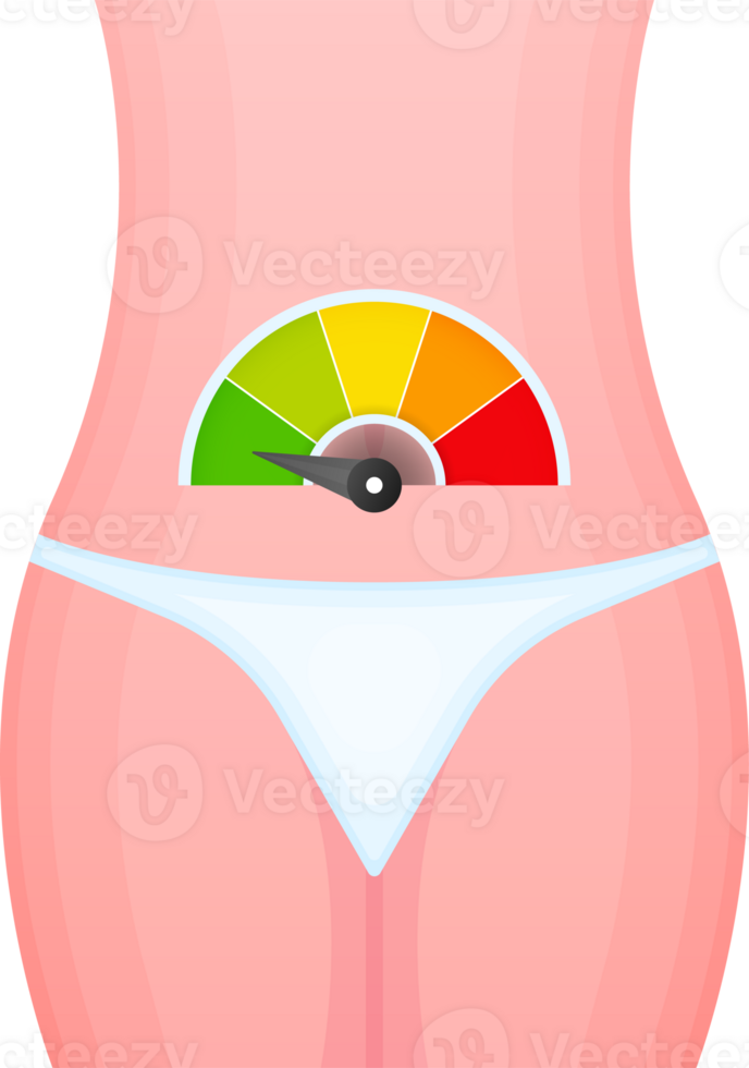 Metabolism level scale, speedometer, indicators. Metabolism medical. png