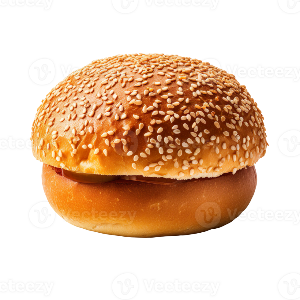 Burger bread isolated on transparent background png
