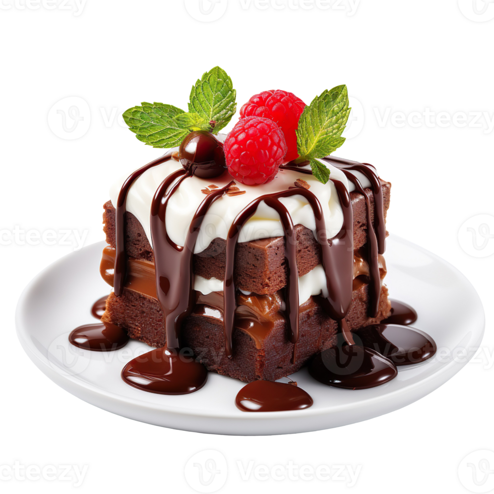 Chocolate dessert isolated on transparent background png