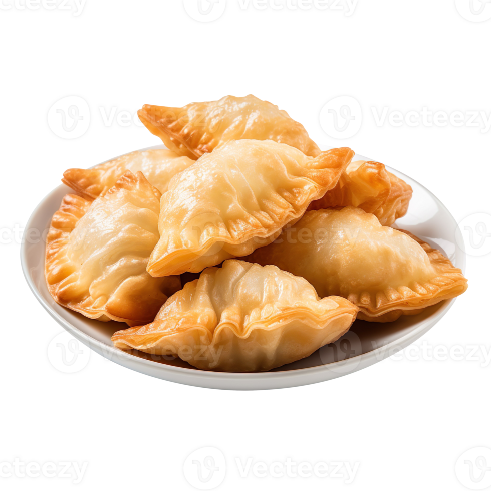 Fried Dumplings isolated on transparent background png