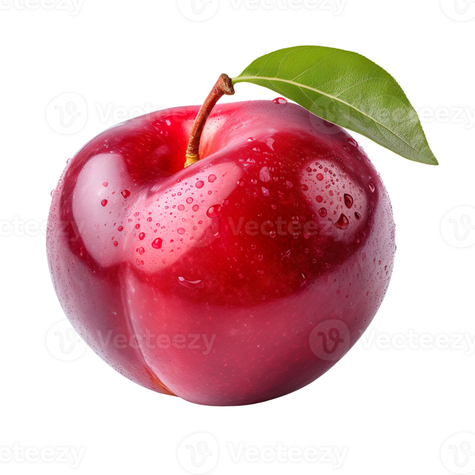 Fresh red plum isolated on transparent background png
