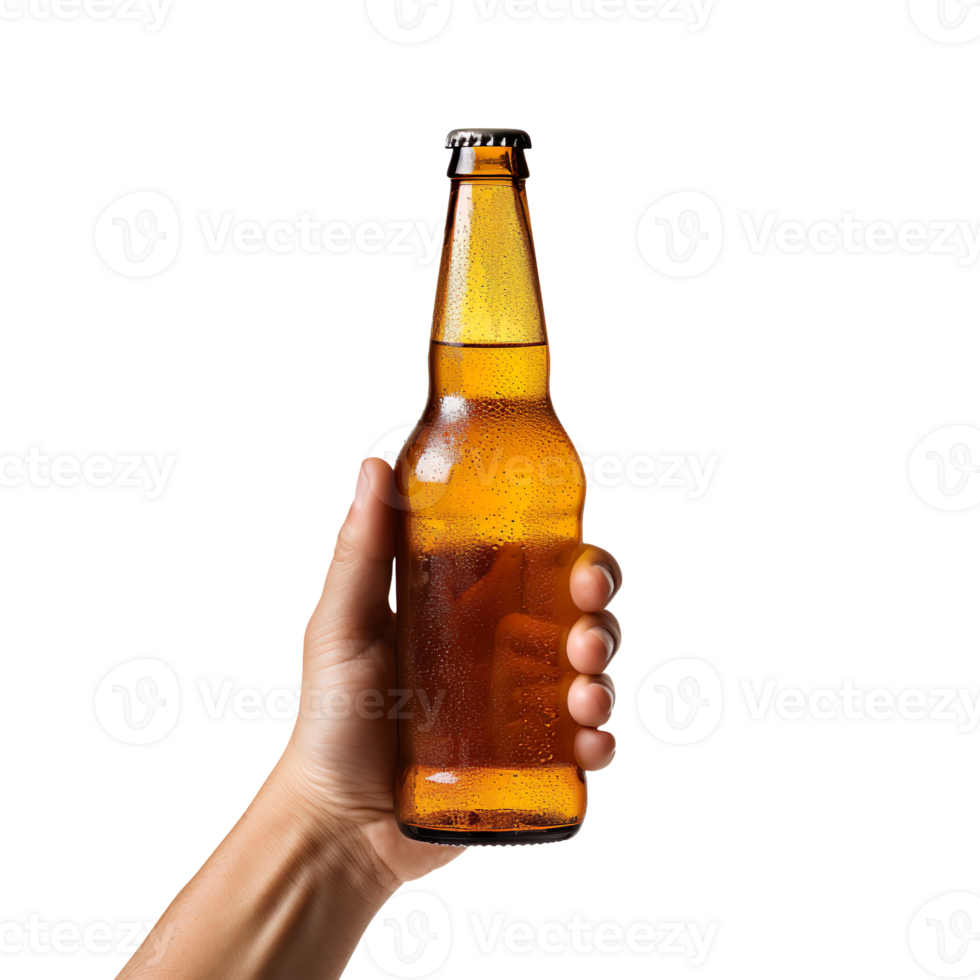 Hand holding beer bottle isolated on transparent background png