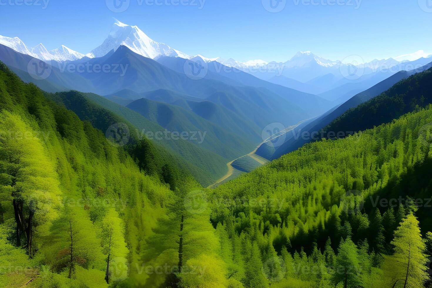 A beautiful view of a mountain range with trees photo
