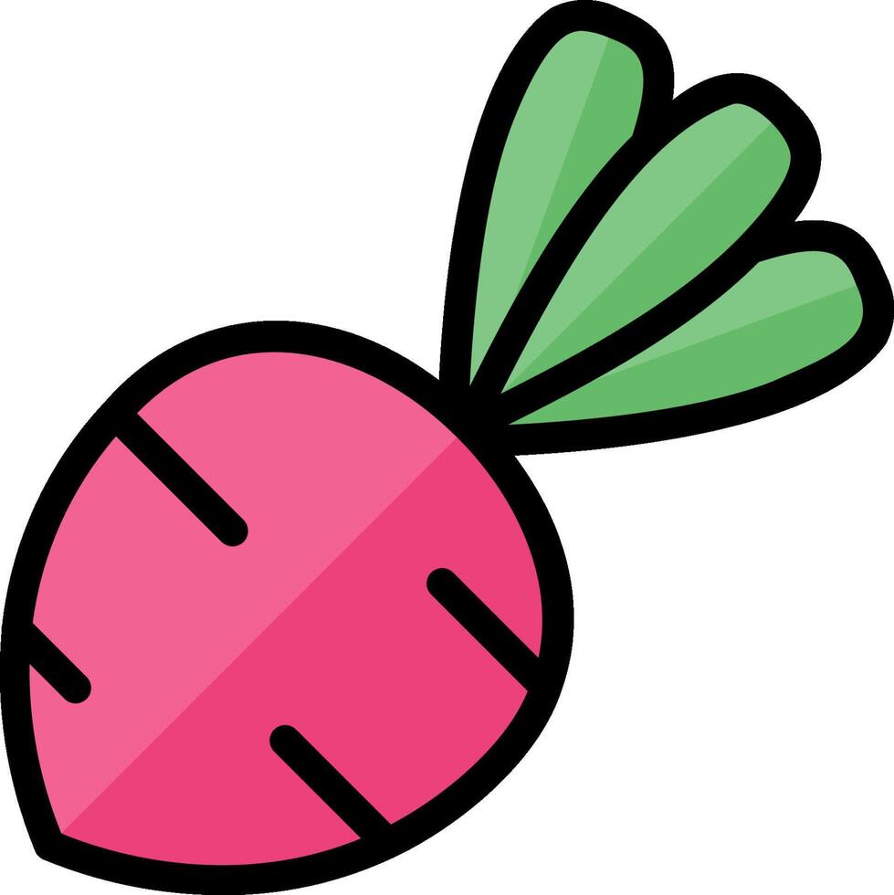 beetroot illustration design.eps vector