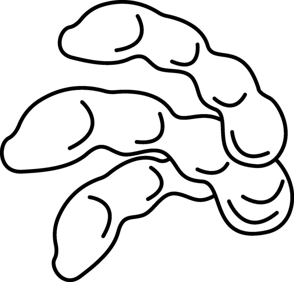 A black and white drawing of a pair of beans vector