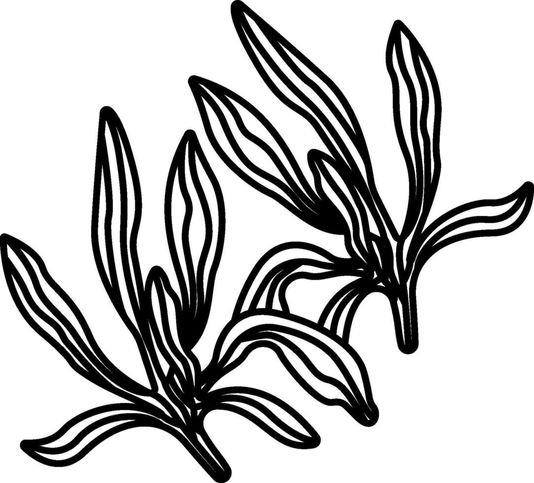 A drawing of two leaves on a white background vector