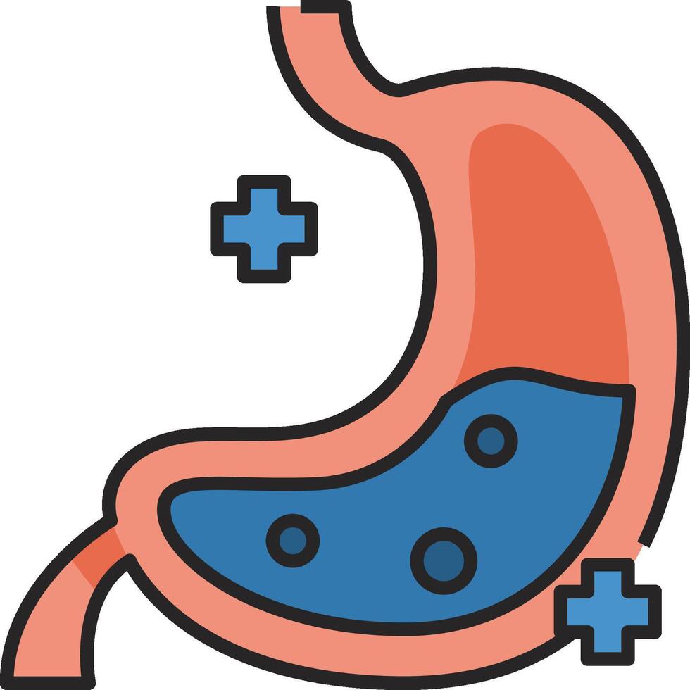 The stomach and the stomach is shown in a flat line vector