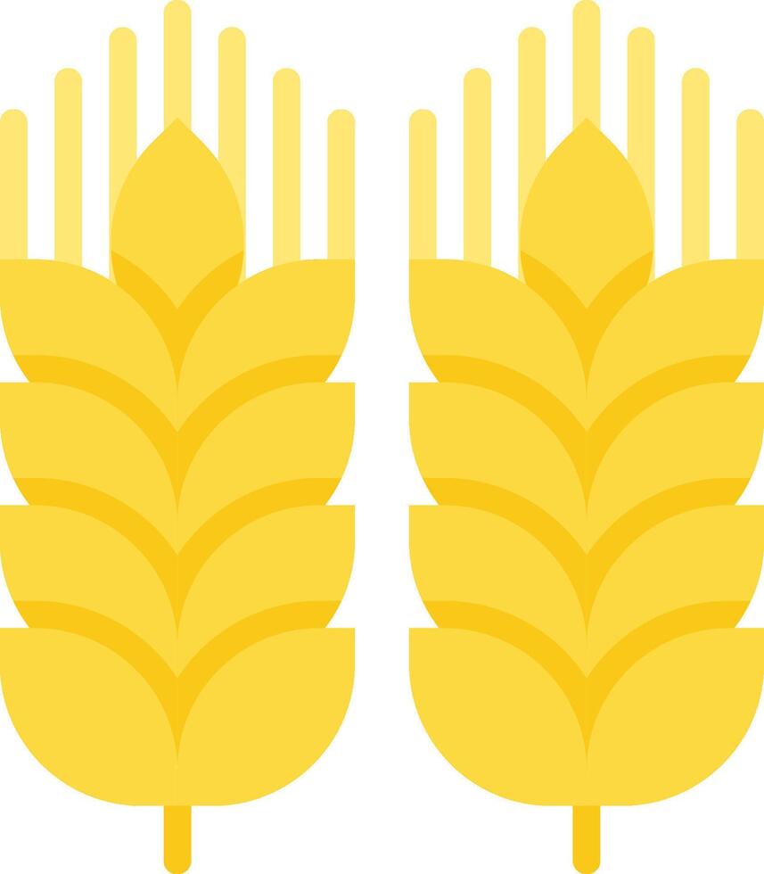 Two ears of wheat on a white background vector