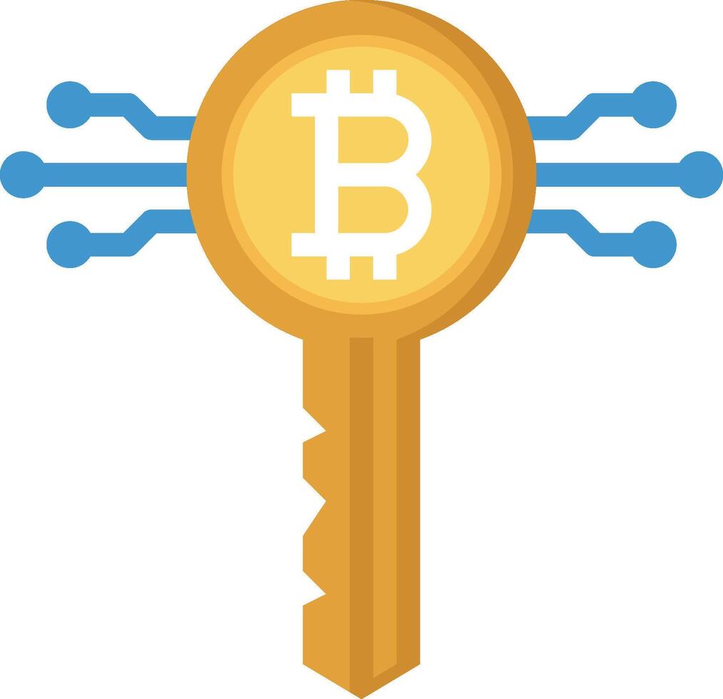 Crypto key icon vector