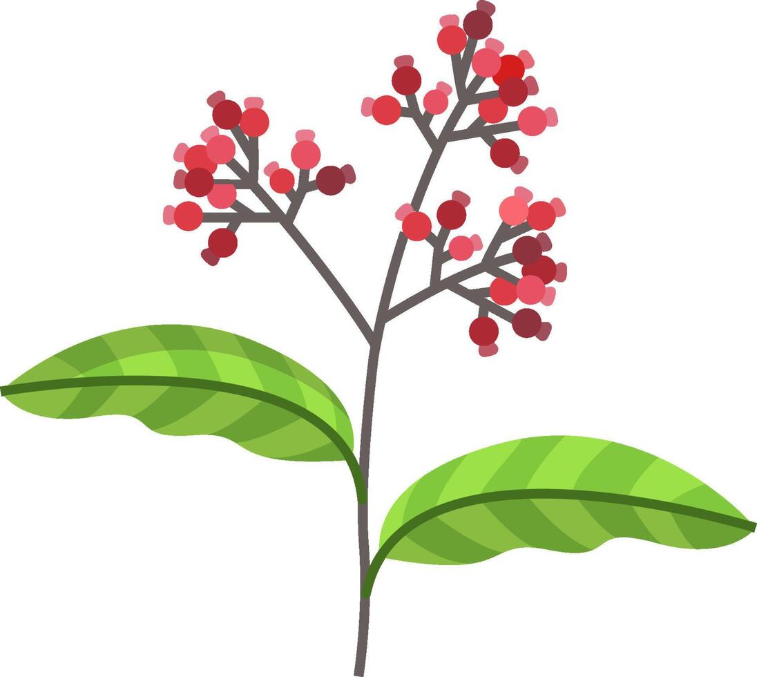 A plant with red flowers and leaves vector
