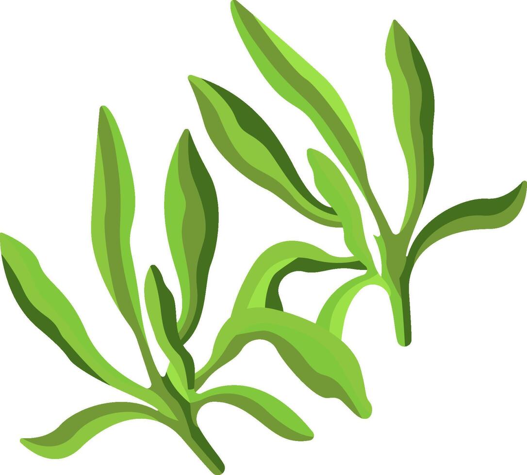 Green leaves on a white background vector