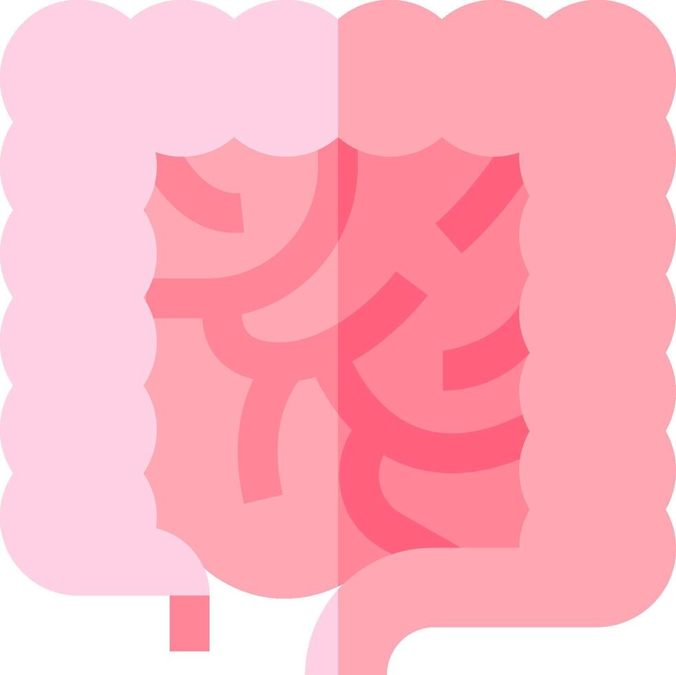 An illustration of a human stomach vector