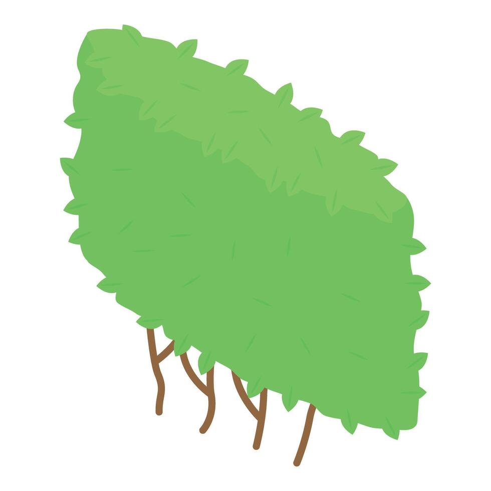 Leafy green bush is growing in the summertime vector