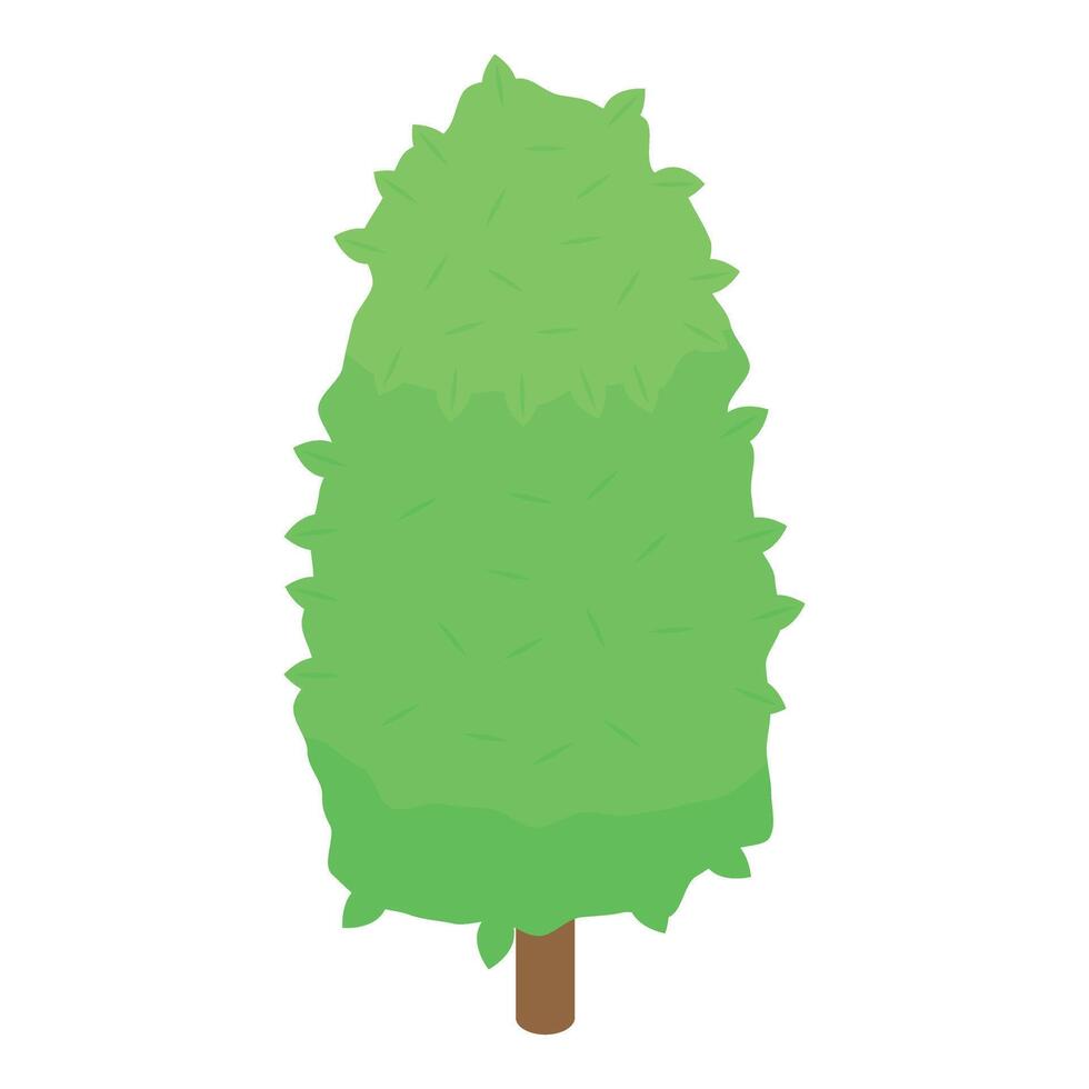 Lush green tree with rounded crown standing on white background vector