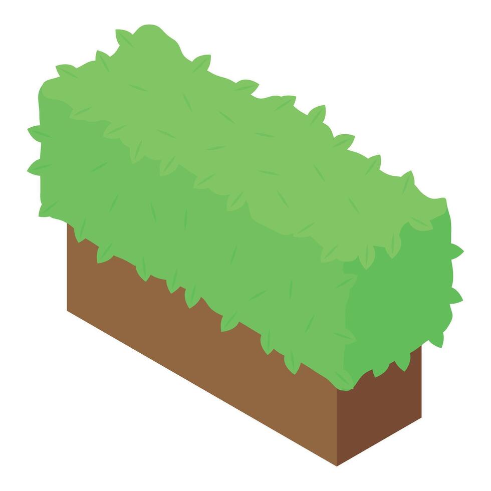 Green bush growing from wooden planter isometric view vector