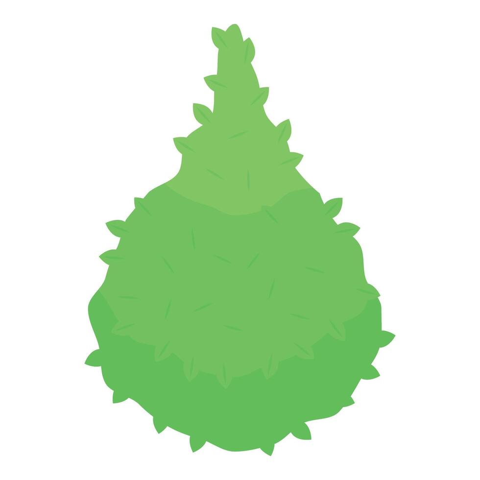 Green bush growing upwards with lush foliage vector
